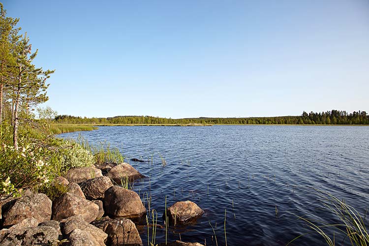 Haussee